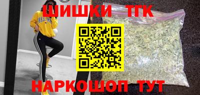 индика Рузаевка