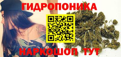 индика Рузаевка