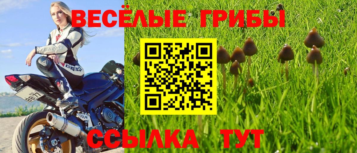 Ростов-на-Дону  Псилоцибиновые грибы мицелий  Галлюциногенные грибы Psilocybine cubensis  Вход с VPN 