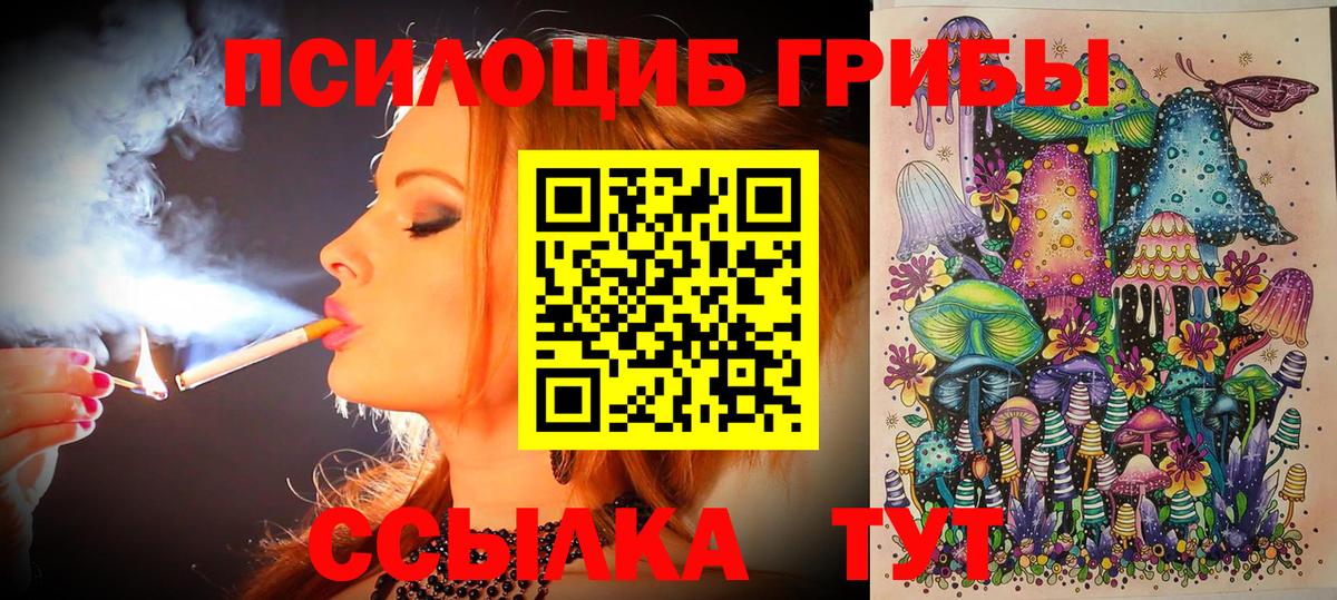Псилоцибиновые грибы GOLDEN TEACHER Ростов-на-Дону